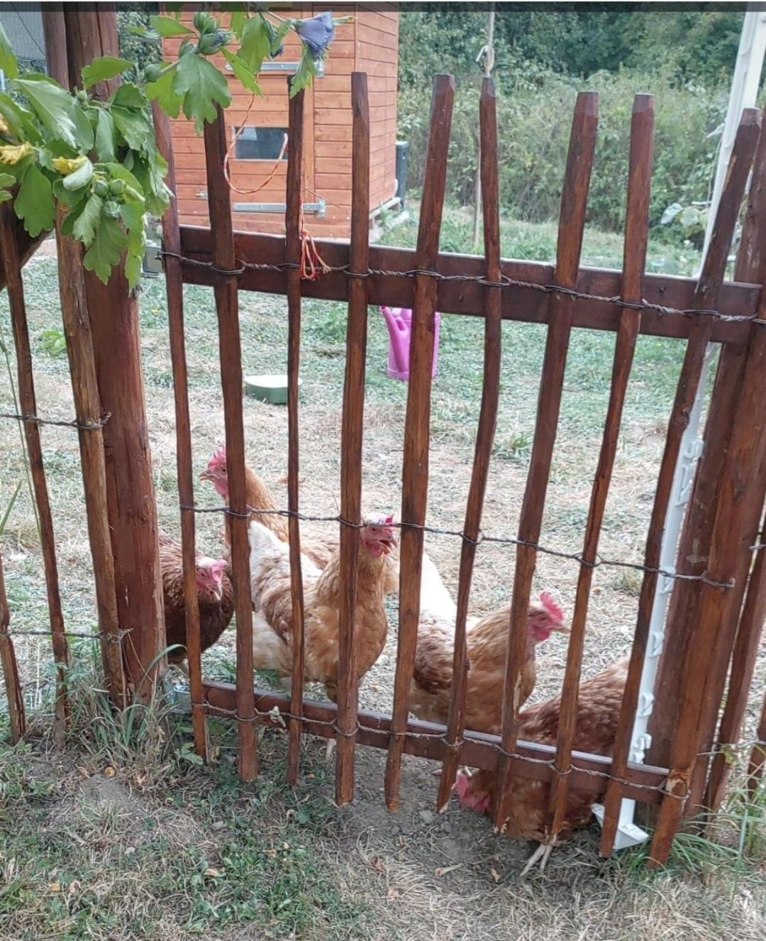 Sometimes Zimmer Gehaichnishof 7Born Maring-Noviand Екстериор снимка